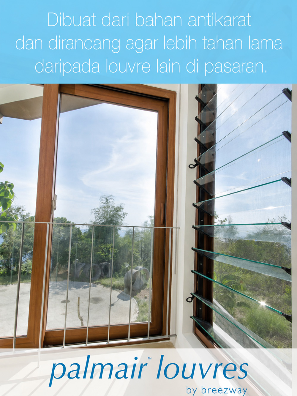 Palmair poster