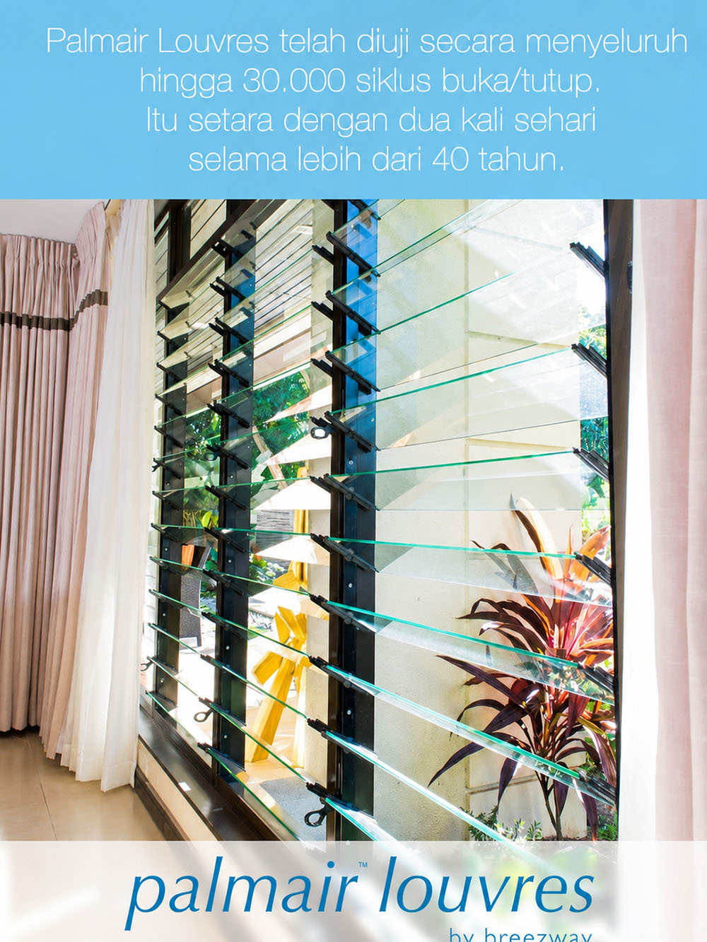 Palmair poster