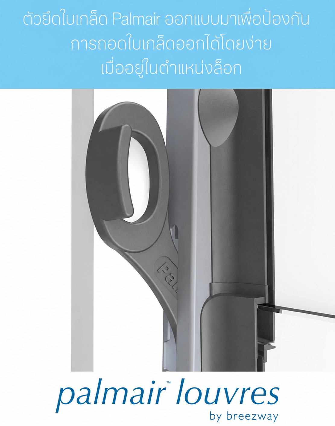 Palmair Thai Palmair Thai